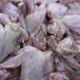 Imagem - Exportação do ES não deve ser afetada por suspeita de frango com coronavírus