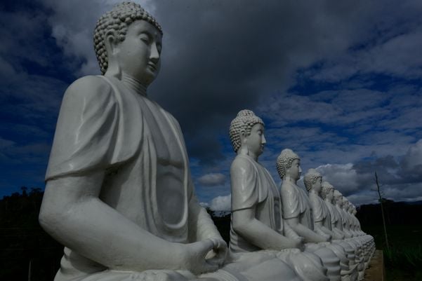 Os visitantes vão poder admirar os 15 budinhas  sentados em meditação por Ricardo medeiros