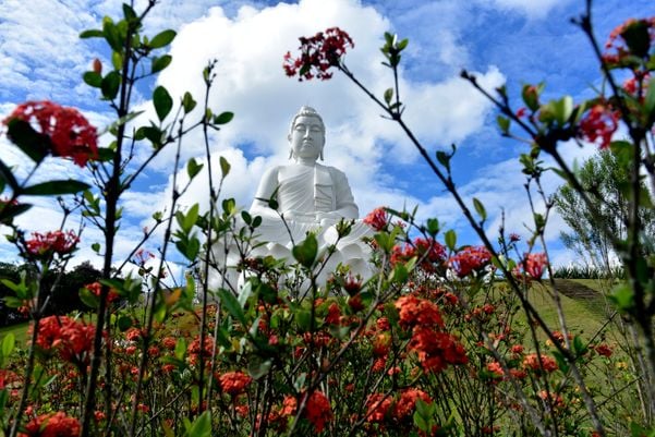 Construção do Buda na entrada do Mosteiro Zen Budista, em Ibiraçu por Ricardo medeiros
