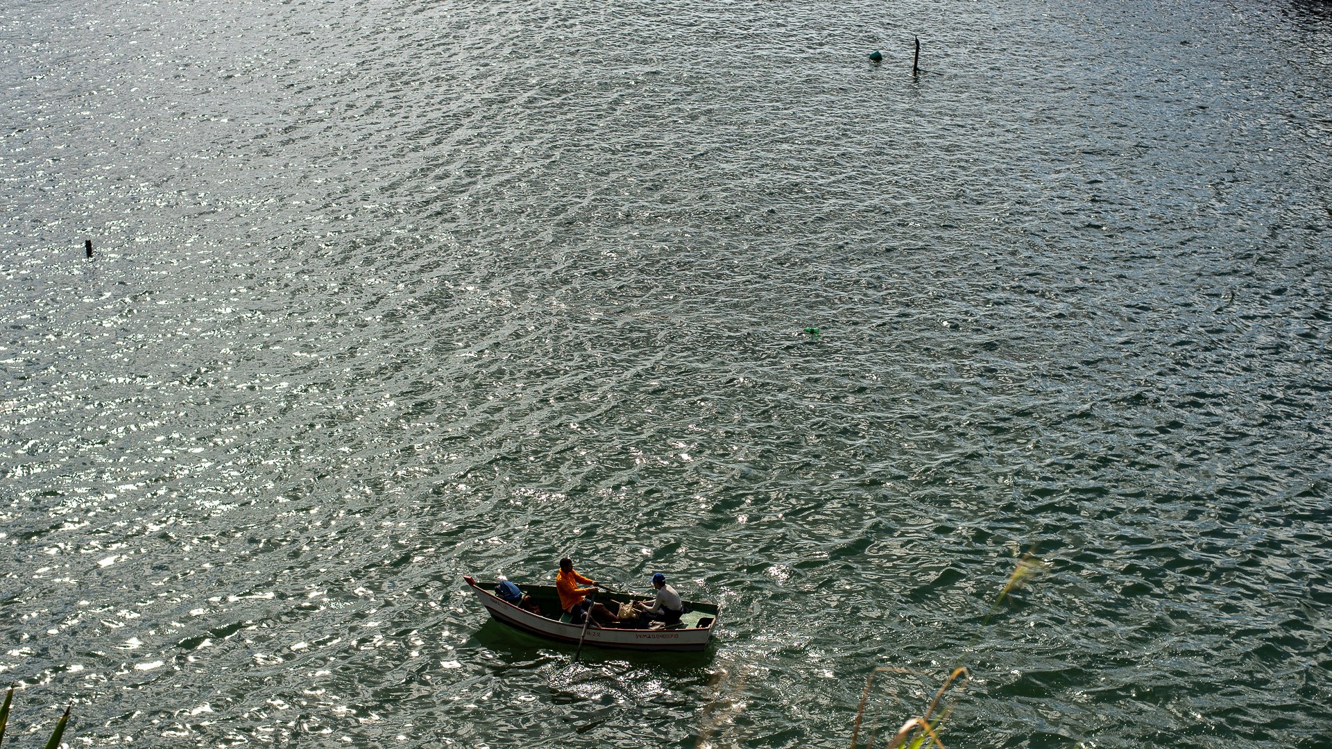 O sururu é encontrado nas áreas de costões e ilhas do litoral capixaba.