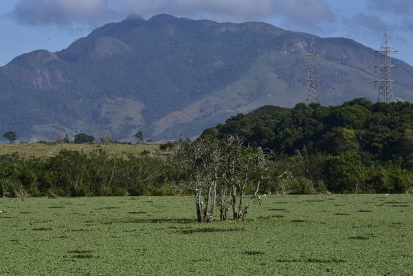 A lagoa é artificial, originada pelo represamento parcial do Córrego Maringá por Ricardo Medeiros