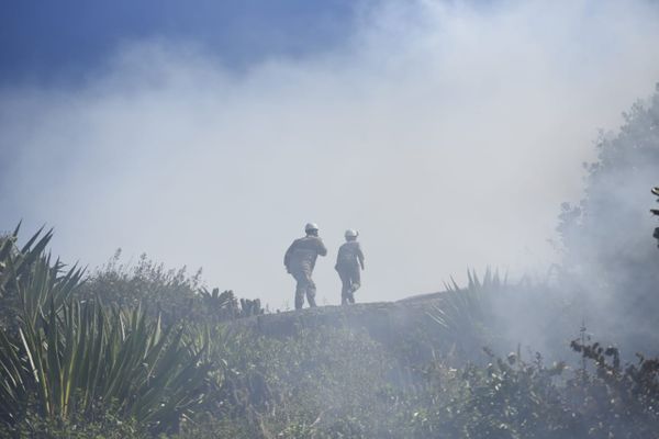 Incêndio destrói área de vegetação próxima à Praia Secreta, em Vila Velha