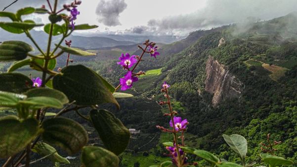 São Pedro do Frio, localidade a 40 quilômetros da sede de Colatina por Divulgação