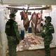 Polícia apreende quase 300 quilos de carne clandestina