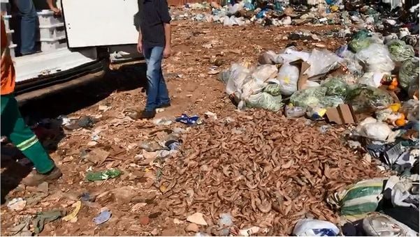 Camarão é descartado em lixão Cachoeiro de Itapemirim