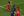 Kingsley Coman, jogador do Bayern que marcou gol da vitória do Bayern contra o PSG(Reuters/Folhapress)