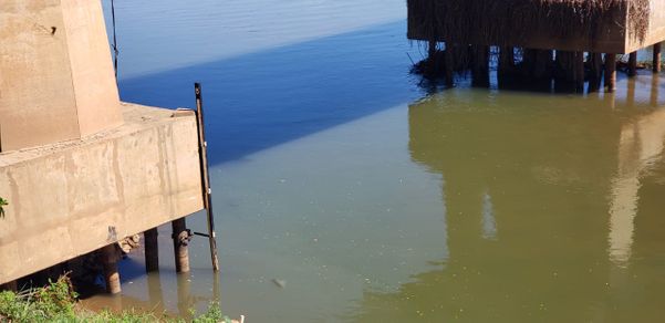 Régua mostra o nível do Rio Doce em Colatina