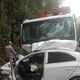 Imagem - Motorista morre em acidente com caminhão na BR 262, em Domingos Martins