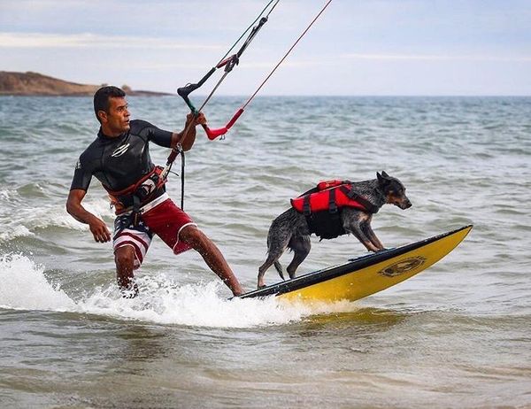 A cadela surfista capixaba Maya com seu tutor e treinador, Gilson Moraes Junior