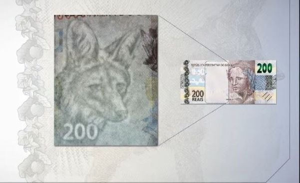 Lobo-Guará aparece contra a luz em nota de R$ 200