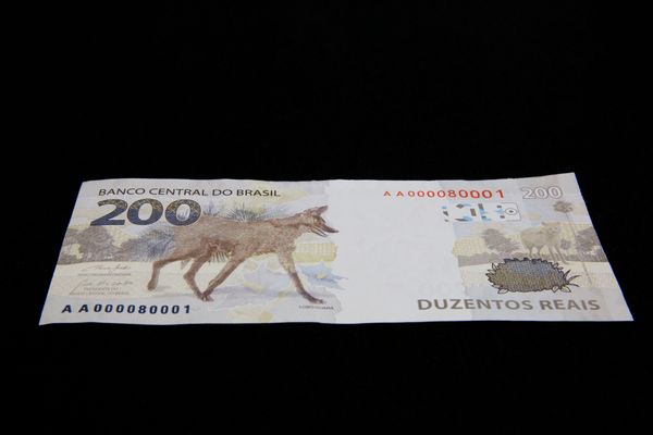 O Banco Central (BC) lançou nesta quarta-feira (02/09) a nova nota de R$ 200,00 com a imagem do lobo-guará.  por Raphael Ribeiro/BCB