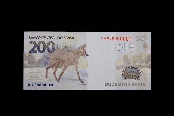 O Banco Central (BC) lançou nesta quarta-feira (02/09) a nova nota de R$ 200,00 com a imagem do lobo-guará. 