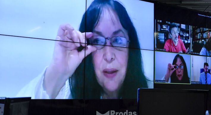 Investigação da Polícia Federal aponta a atuação de uma organização criminosa na Codesa. Um irmão da senadora foi preso e a polícia cumpriu mandado de busca na casa da parlamentar