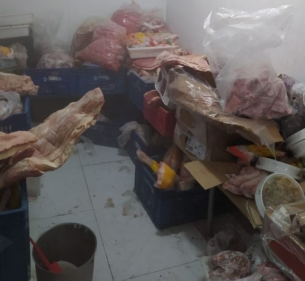 Mais de duas toneladas de carne imprópria para o consumo foram apreendidas no ES