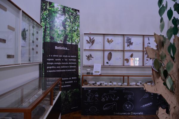 Museu de História Natural do Sul do ES (Muses)