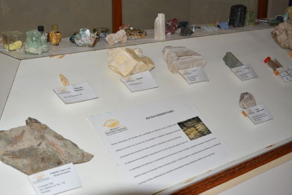 Museu de História Natural do Sul do ES (Muses)