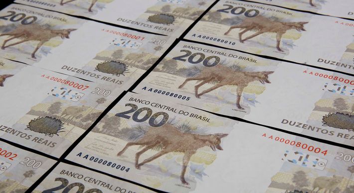 O que quero é falar da simpatia que senti ao ver a proposta de que, em vez do lobo-guará, o cãozinho caramelo fosse o eleito para a figuração na nota de R$ 200
