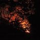 Imagem - Incêndio destrói área de mata nativa em Muniz Freire, no Caparaó