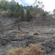 Imagem - Incêndio em Santa Teresa atinge área de quatro campos de futebol