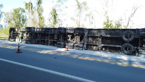 A ocorrência foi no km 109 da BR 101, próximo à Reserva de Sooretama por TV Gazeta Norte | Reprodução 