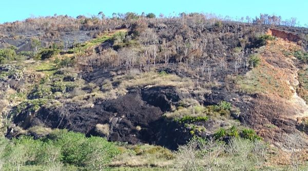 Incêndio aconteceu na localidade Santa Cruz, zona rural do município de Muniz Freire. Crédito: Divulgação/ PMA