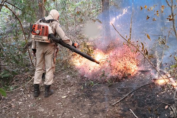 Incêndios em Chapada dos Guimarães (MT), destroem mais de 6 mil hectares de vegetação e ameaçam parque nacional Brigadistas. Bombeiros e militares do Exército estão combatendo o fogo nas trilhas 