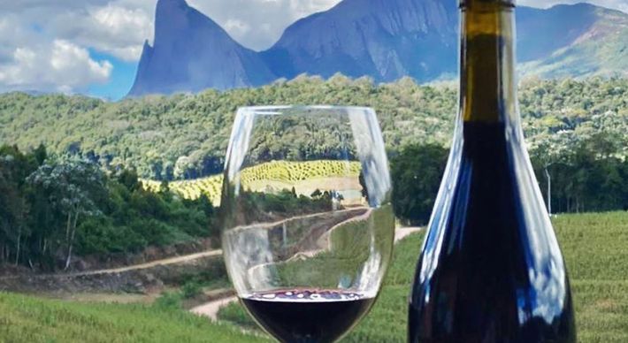 Fique por dentro do cultivo de uvas viníferas na região, realizado pela Cave Rara, em Venda Nova, e pela Carrereth, em Aracê