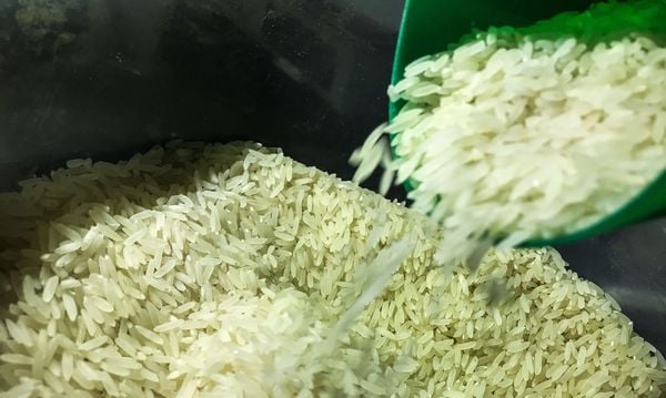 Grãos de arroz