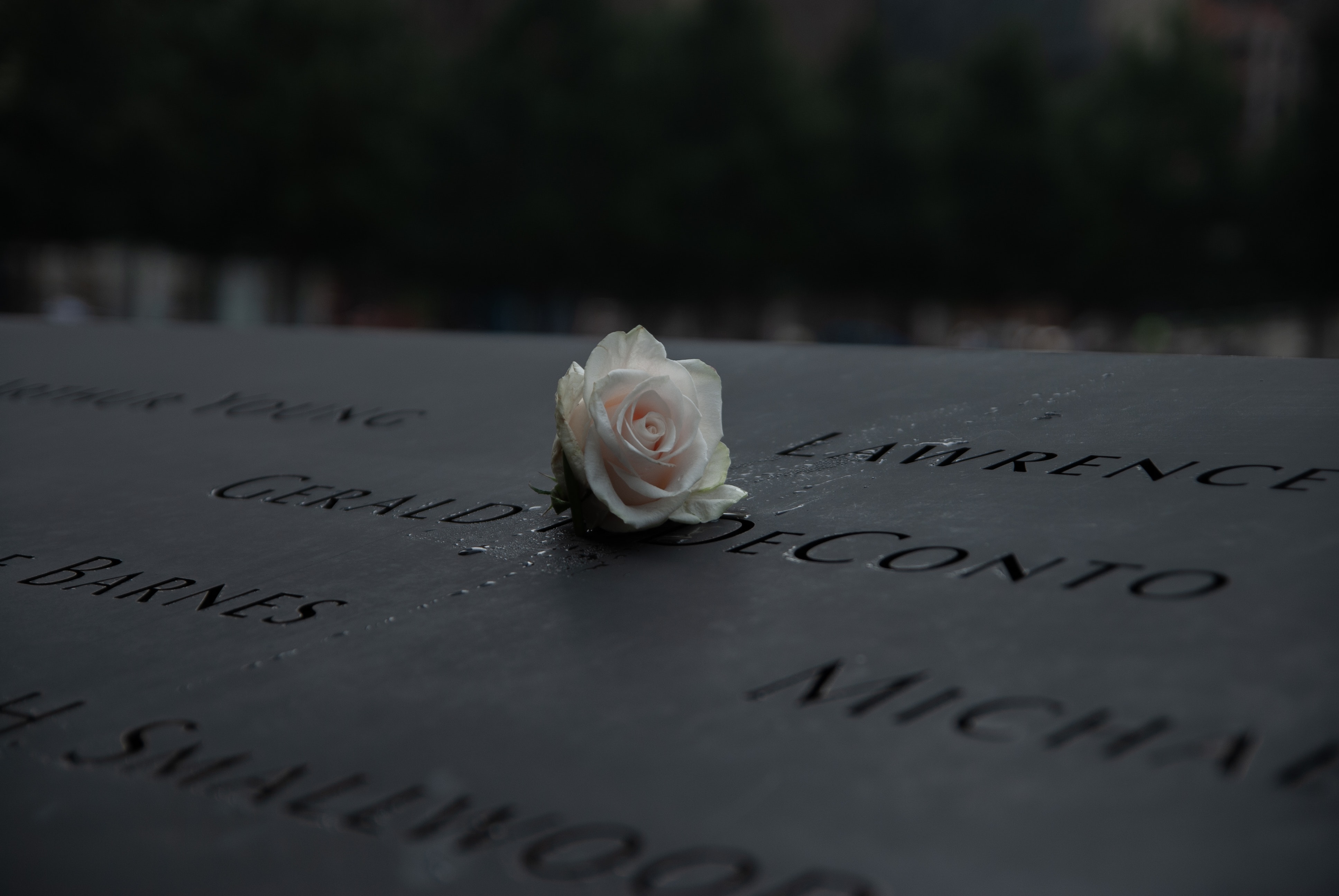 Com a atualização, chega a 1.647 o número de pessoas identificadas após o ataque terrorista no World Trade Center em 2001;  trabalho é resultado de análises contínuas de DNA