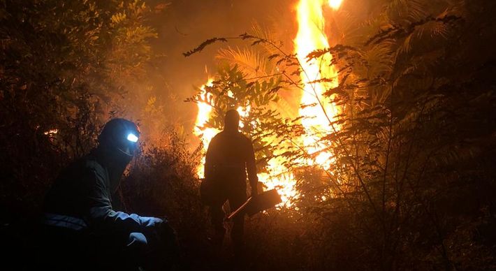 Segundo informações do Corpo de Bombeiros, 18 hectares de vegetação foram atingidos pelas chamas em Água Doce do Norte
