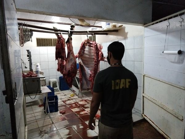 Inspeção encontra carne em condições precárias de higiene