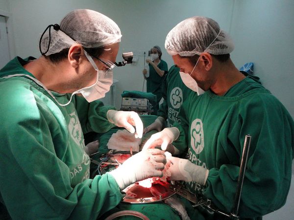 Médicos fazem transplante: queda maior durante a pandemia de Covid