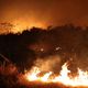 Imagem - 'Não pode ser acidente', diz delegado da PF sobre incêndios no Pantanal