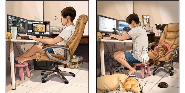 Ilustrações do artista taiwanês John, sobre o antes e depois da casa com pet