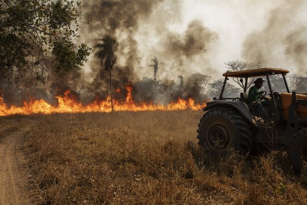 ***ARQUIVO***BARÃO DE MELGAÇO, MT, 13.08.2020- Trator faz aceiro para tentar o conter o fogo em um pasto da Fazenda São Francisco do Perigara, em Barão de Melgaço, Mato Grosso. (Foto: Lalo de Almeida/Folhapress)