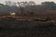Uma vaca se encontra em uma área que foi queimada em um incêndio em uma fazenda no Pantanal, a maior área úmida do mundo, em Pocone, estado de Mato Grosso, Brasil, 27 de agosto de 2020. REUTERS / Amanda Perobelli PROCURE "PANTANAL PEROBELLI" PARA ESTA HISTÓRIA . PESQUISAR "IMAGEM MAIS AMPLA" PARA TODAS AS HISTÓRIAS ORG XMIT: HFS_PXP19(Amanda Perobelli/REUTERS)