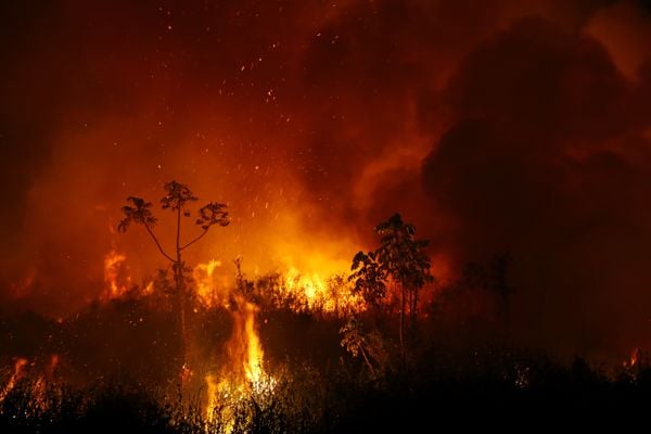 A fumaça de um incêndio sobe no ar enquanto as árvores queimam entre a vegetação no Pantanal, a maior área úmida do mundo, em Pocone, estado de Mato Grosso, Brasil, 3 de setembro de 2020. REUTERS / Amanda Perobelli