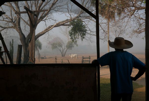 Dorvalino Conceicao Camargo, 56, está na fazenda onde trabalha olhando para a fumaça de uma fogueira, subindo no ar, no Pantanal, maior pantanal do mundo, em Pocone, Mato Grosso, Brasil, 29 de agosto , 2020. REUTERS / Amanda Perobelli  
