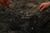 Isabella Cristina Pereira Britto, estudante de veterinária, e Eduarda Fernades, guia local, inspecionam uma cobra morta em uma área que foi queimada em um incêndio no Pantanal, o maior pantanal do mundo, em Pocone, Mato Grosso, Brasil, 31 de agosto , 2020. REUTERS / Amanda Perobelli  (Amanda Perobelli /REUTERS /Folhapress)