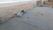 Homem quebra letreiro de praia em Fundão(Imagens obtidas pela TV Gazeta)