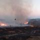 Imagem - Incêndios destroem três áreas de vegetação em Nova Venécia