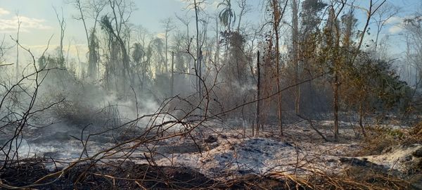 Incêndio em Nova Venécia
