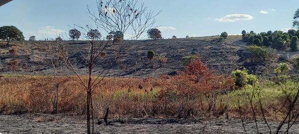 Incêndio está destruindo três áreas de vegetação em Nova Venécia por Everton Leonardo de Menezes/Defesa Civil Nova Venécia