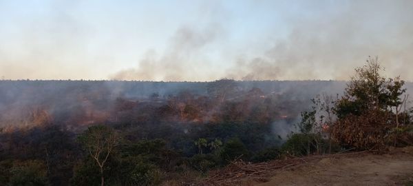 Os focos estão nas localidades de Guarabu e da Perdida e no distrito do Patrimônio do XV. por Everton Leonardo de Menezes/Defesa Civil Nova Venécia