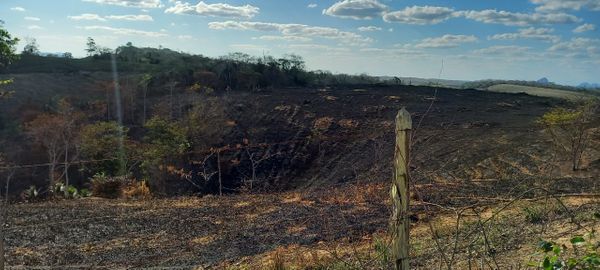  Segundo a Defesa Civil,  áreas de aproximadamente 250 hectares de vegetação já foram destruídas pelo fogo. por Everton Leonardo de Menezes/Defesa Civil Nova Venécia