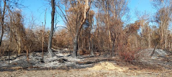 Incêndio em Nova Venécia por Everton Leonardo de Menezes/Defesa Civil Nova Venécia