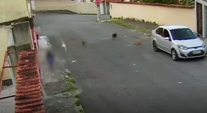 Câmeras flagraram o ataque de cinco cães a uma criança na rua Santa Luzia, na tarde desta quinta-feira (17). Moradora da região afirma ter comunicado à prefeitura sobre repetidos ataques. Prefeitura de Vitória diz que está tentado capturar os animais