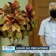 Imagem - Mais de 20 médicos no ES caíram no golpe do precatório, diz sindicato