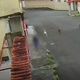 Imagem - Cachorros atacam criança no bairro Santa Cecília, em Vitória
