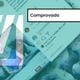 Imagem - TV alemã exibiu elefantes ao falar sobre queimadas na Amazônia